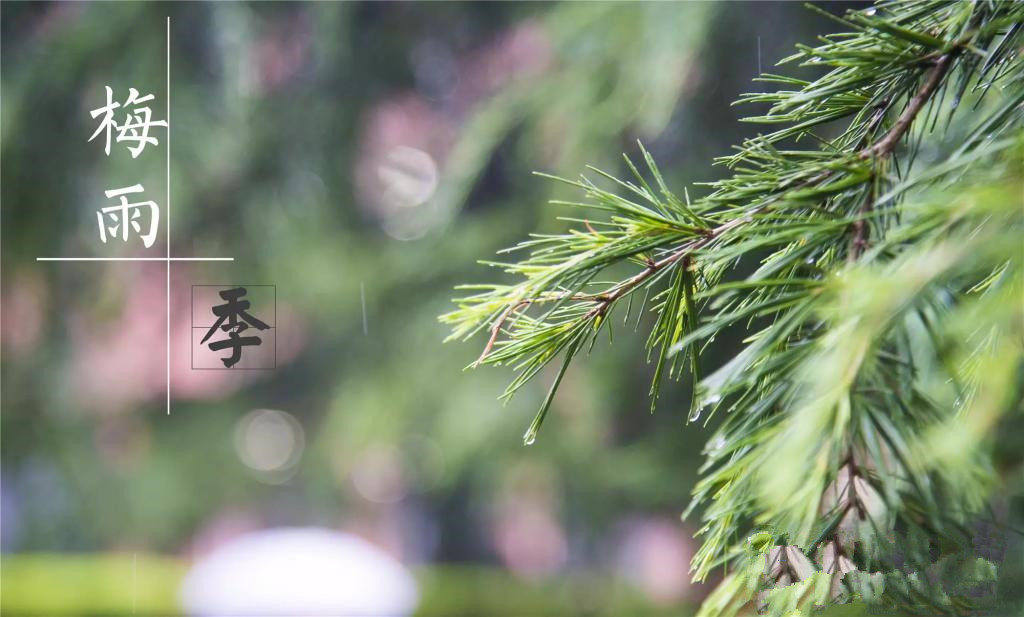 雨季到來，涂料施工需注意哪些問題